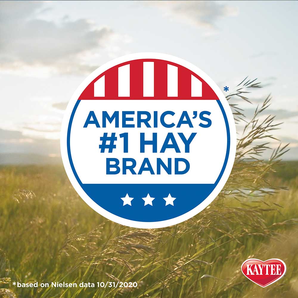 Kaytee Timothy Hay Plus Carrots