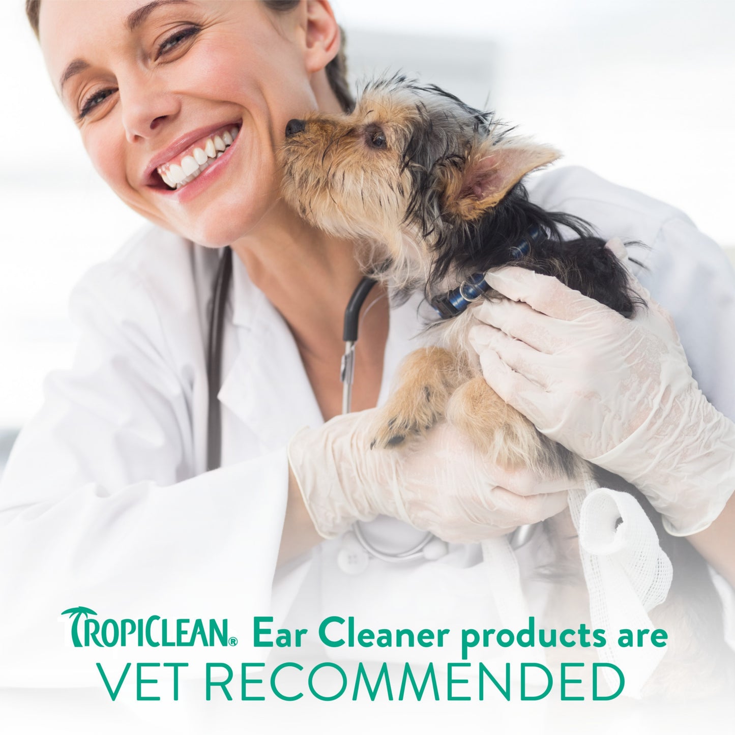 Tropiclean Alcohol Free Ear Wash for Pets