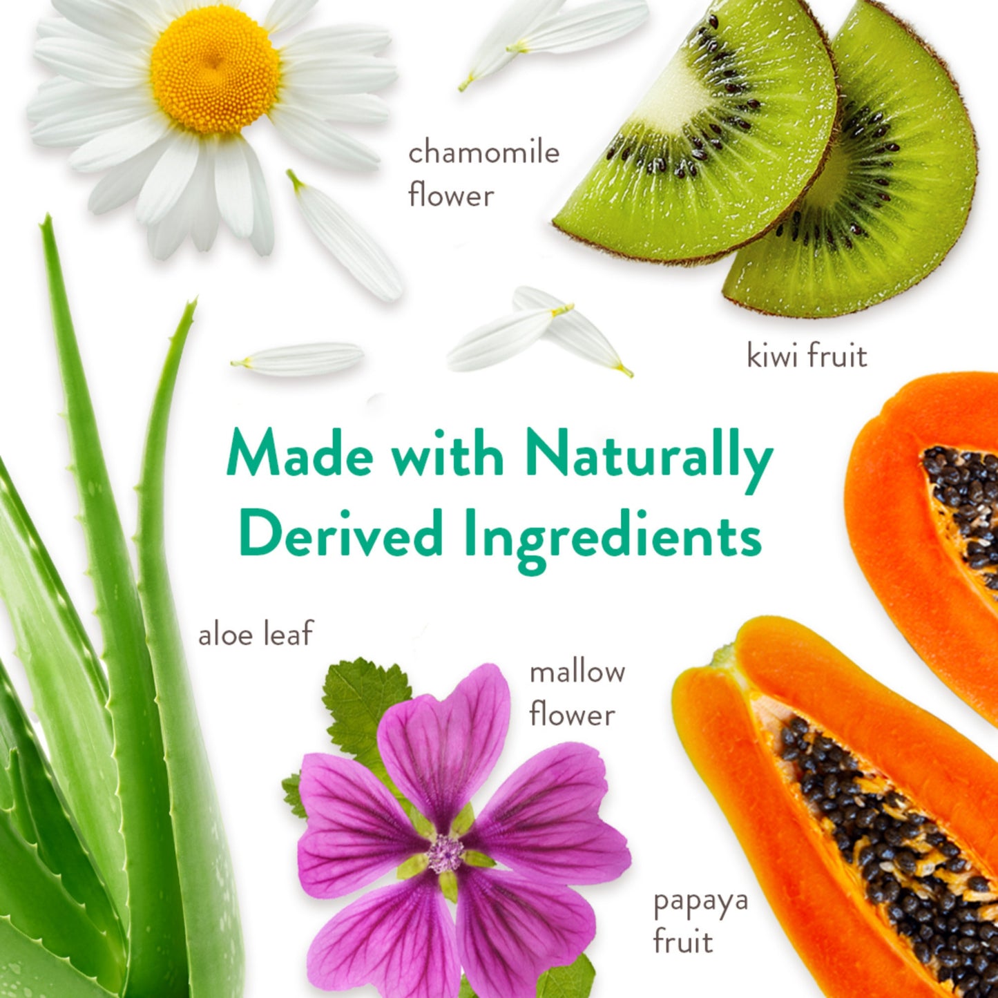 Tropiclean Aloe & Coconut Deodorizing Shampoo for Pets