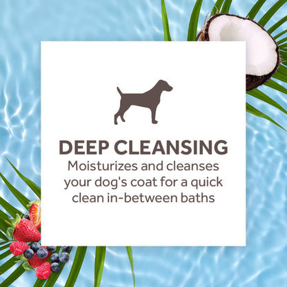 Tropiclean Berry & Coconut Deep Cleansing Waterless Shampoo for Dogs