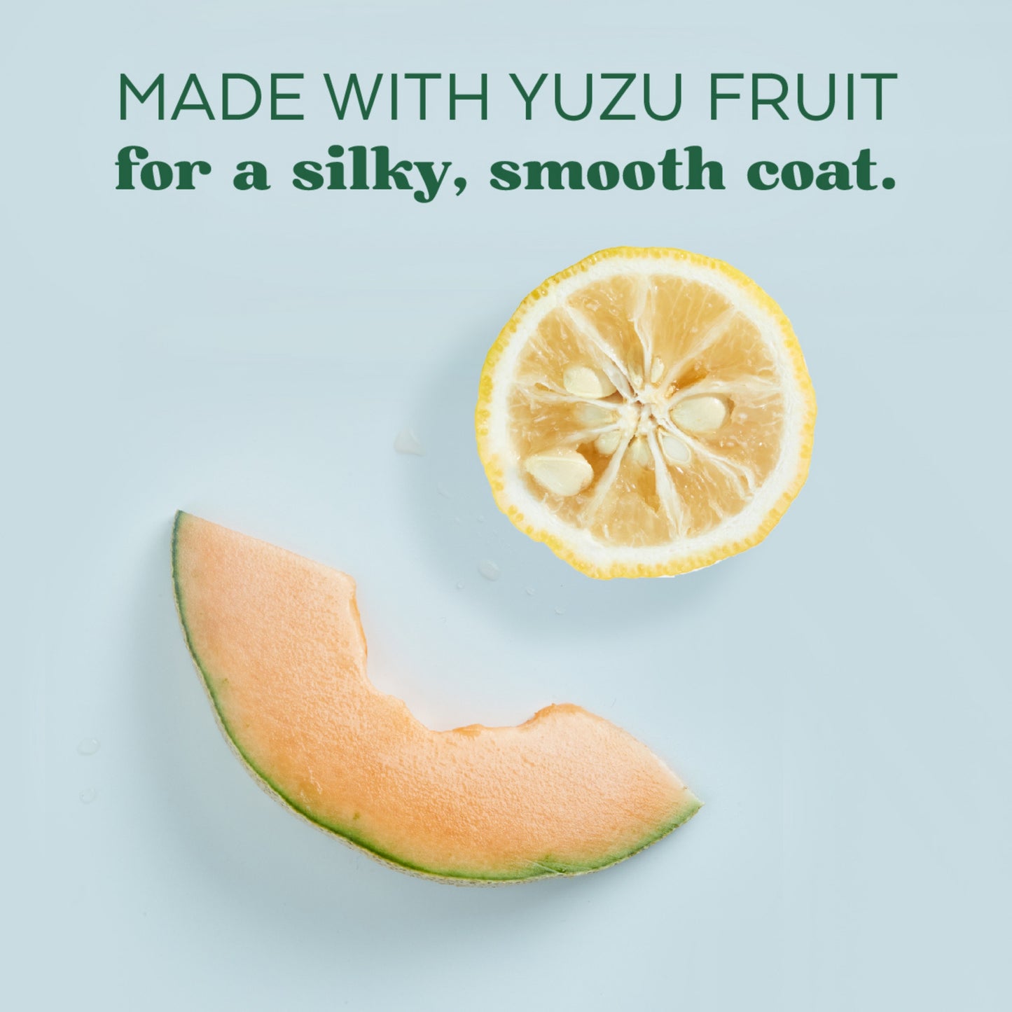 Tropiclean Essentials Yuzu Oil Refreshing Spray for Dogs