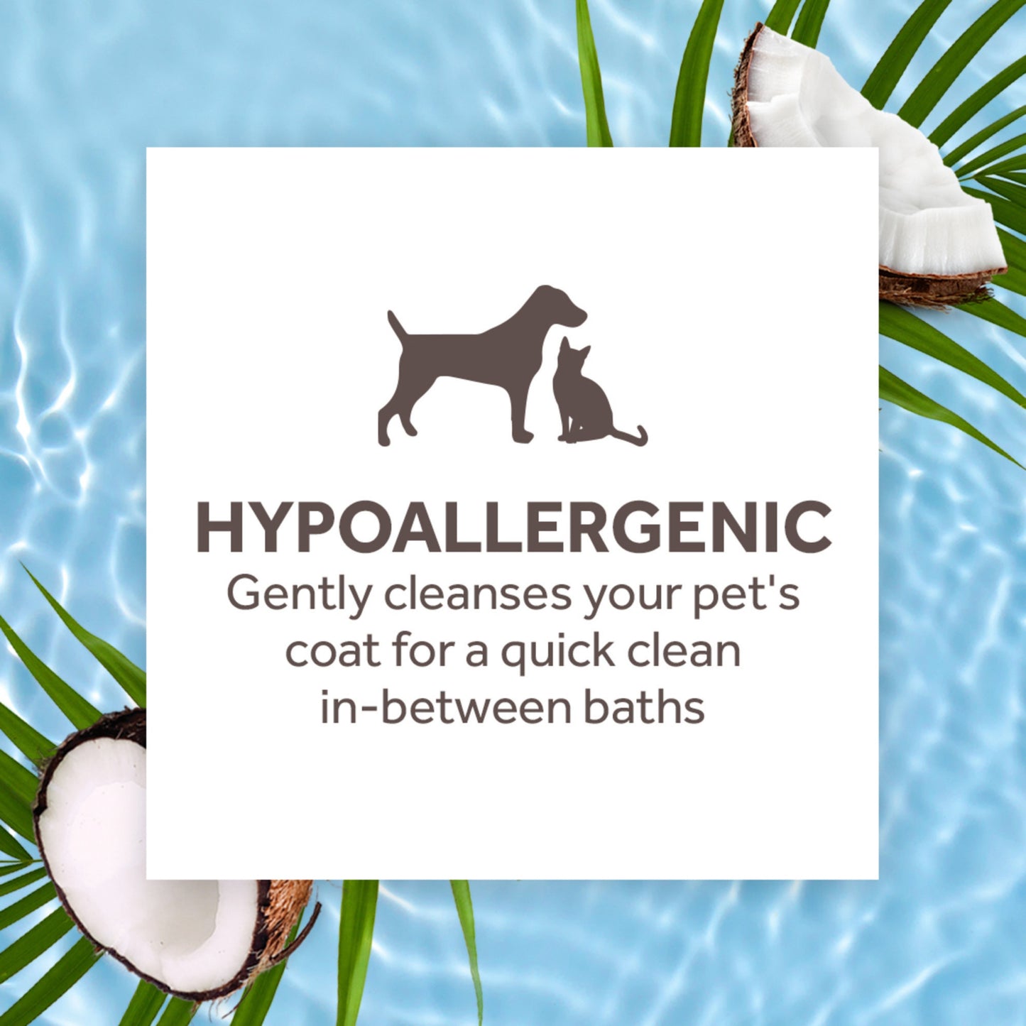 Tropiclean Gentle Coconut Hypoallergenic Waterless Shampoo for Pets