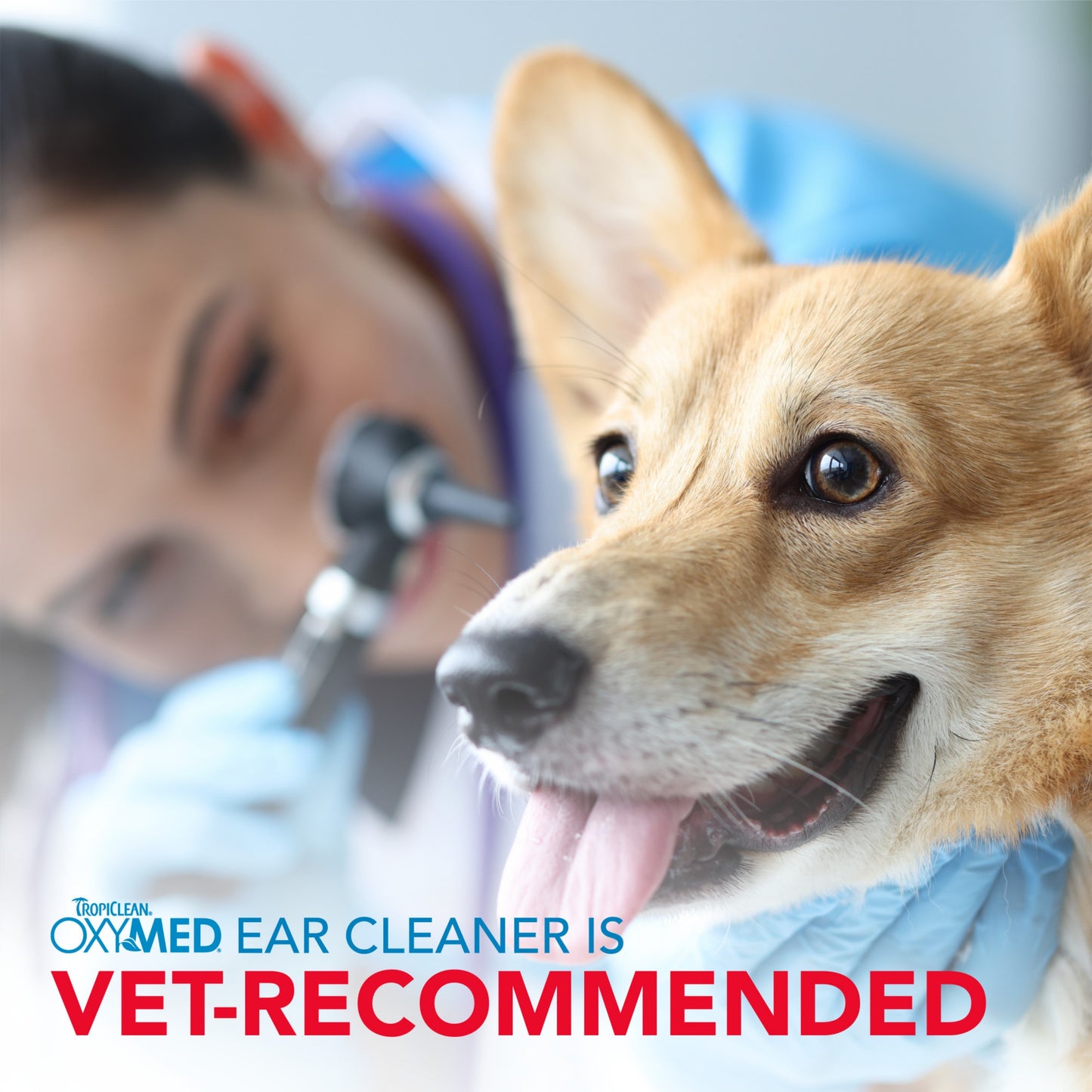 Tropiclean Oxymed Ear Cleaner for Pets