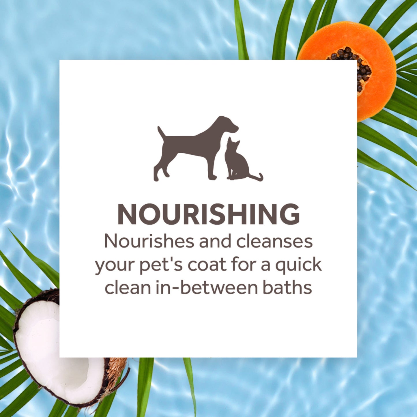 Tropiclean Papaya & Coconut Waterless Shampoo for Pets