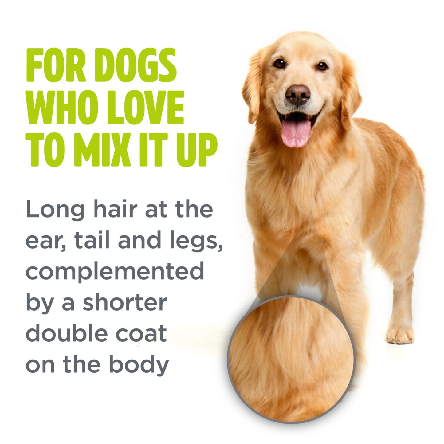 Tropiclean PerfectFur Combination Coat Shampoo for Dogs