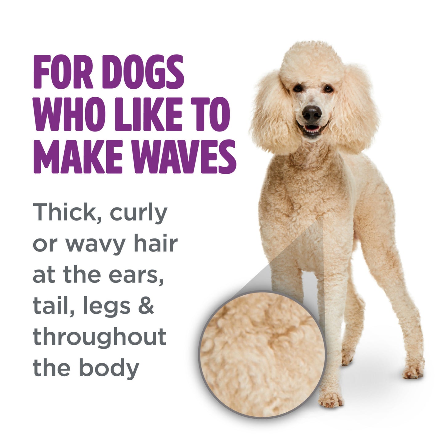 Tropiclean PerfectFur Curly & Wavy Coat Shampoo for Dogs
