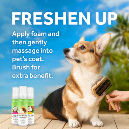Tropiclean Warm Vanilla Waterless Facial Cleanser for Pets