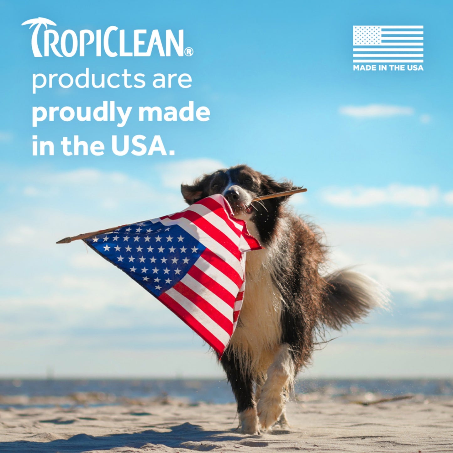 Tropiclean Warm Vanilla Waterless Facial Cleanser for Pets