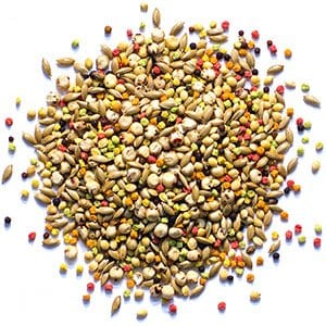 ZuPreem Sensible Seed Small Birds 2lbs