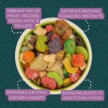 Zupreem Sensible Seed Large Birds